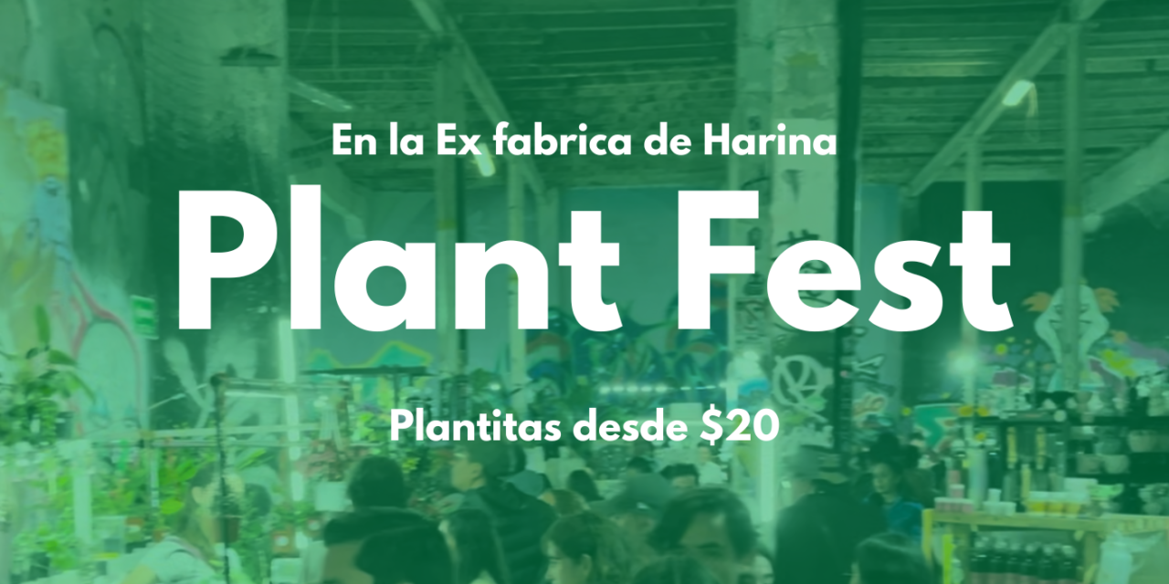 Plant Fest 2024 en la Ex fábrica de Harina