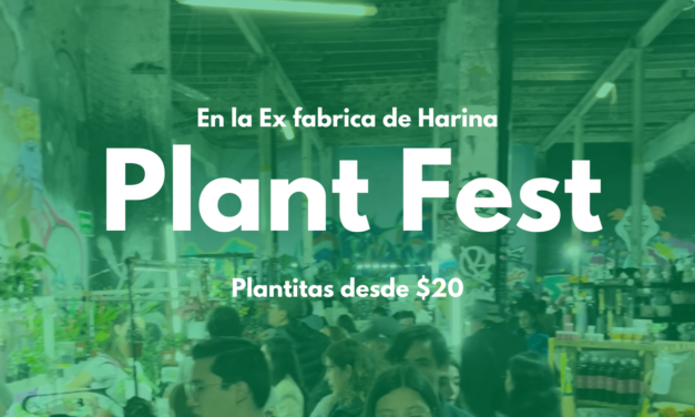 Plant Fest 2024 en la Ex fábrica de Harina