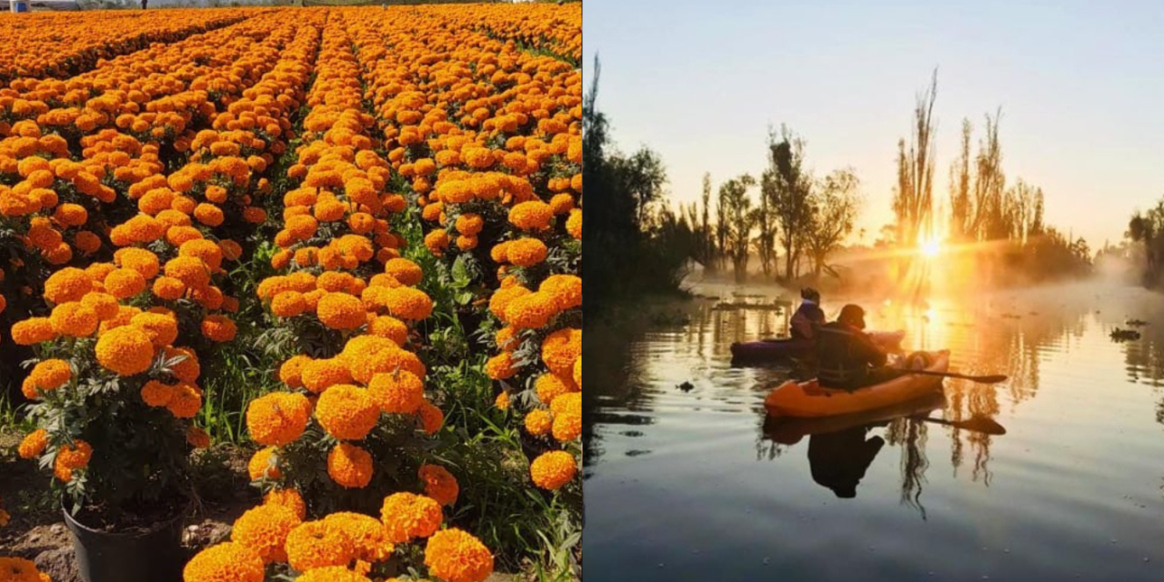 Recorre los campos de cempasúchil en kayak